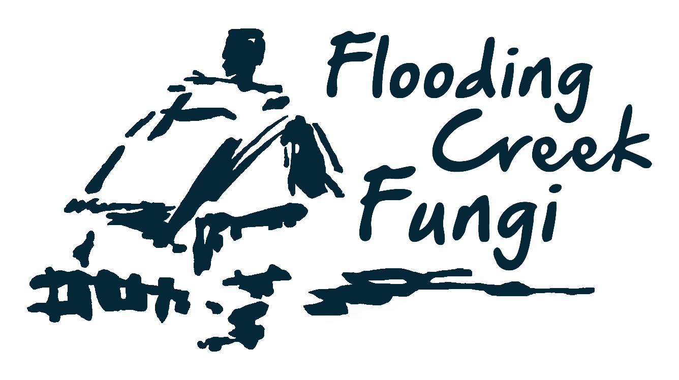Flooding Creek Funghi
