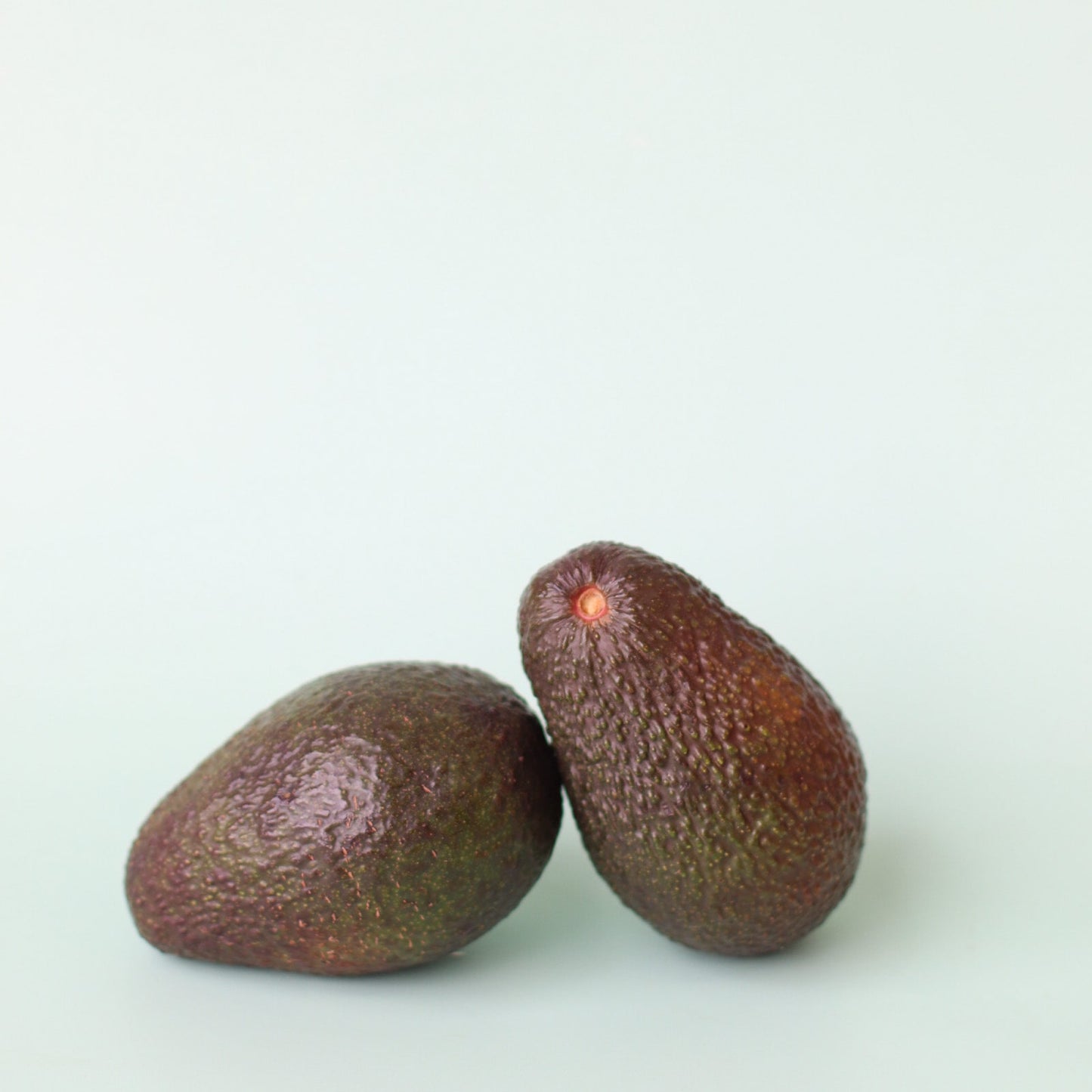 Avocados (2 pack)