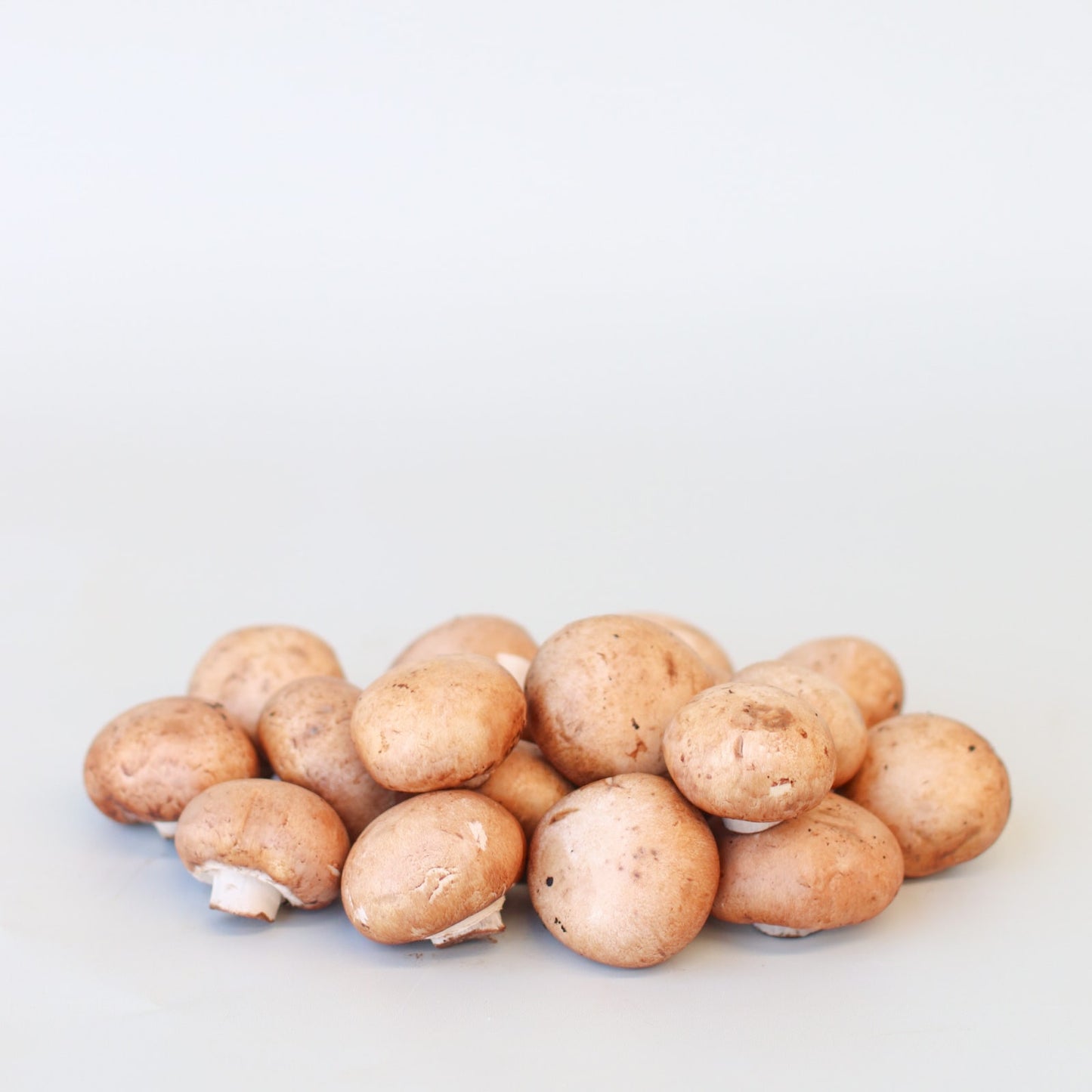 Mushrooms Swiss Brown 180g