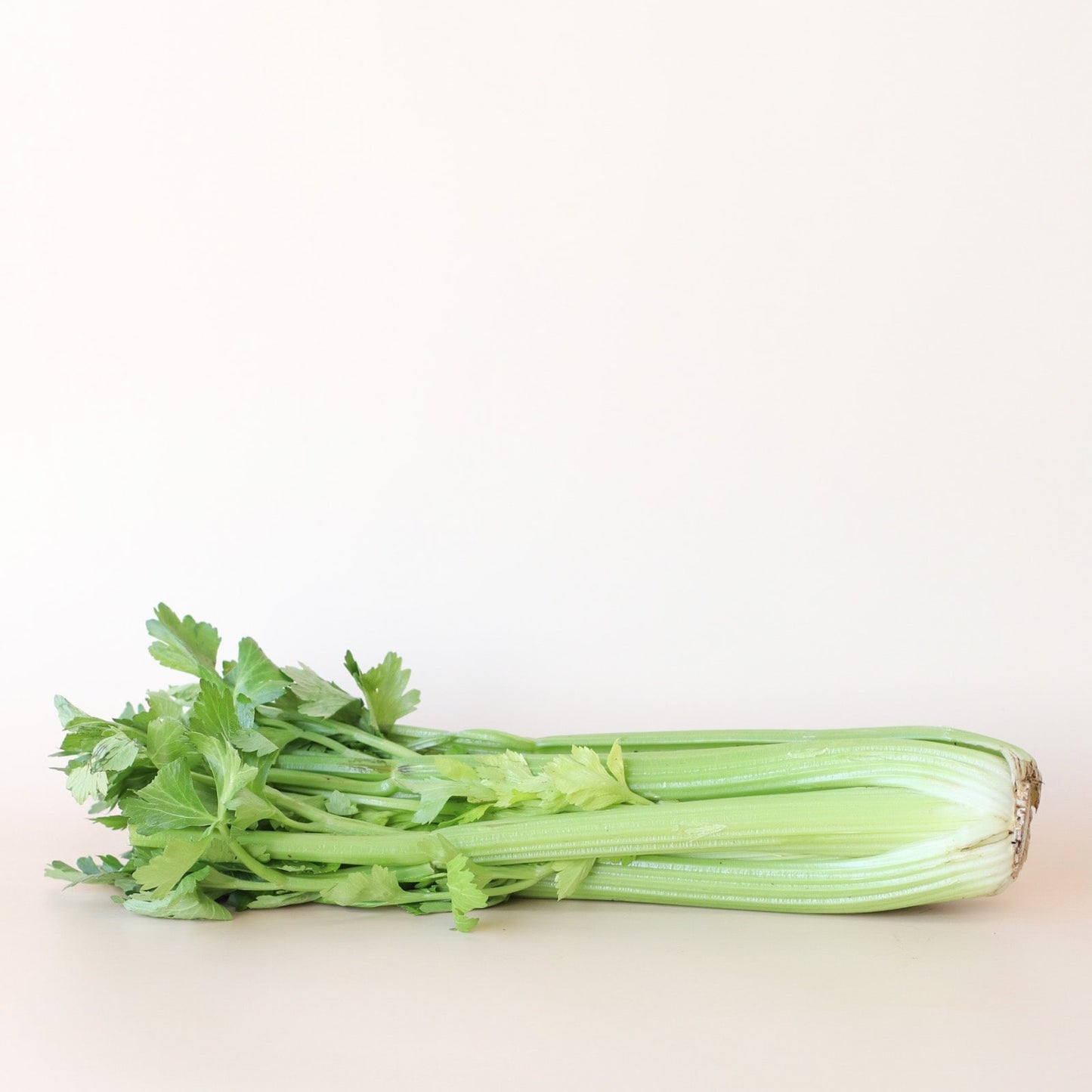 Celery Whole