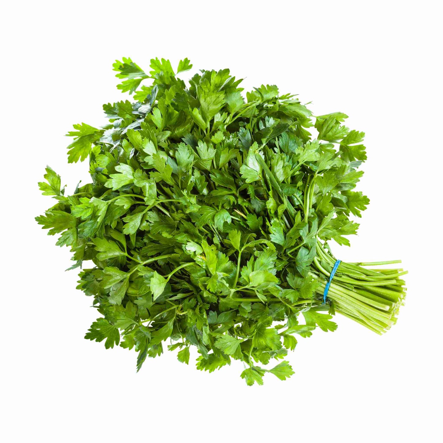 Parsley Fresh Bunch