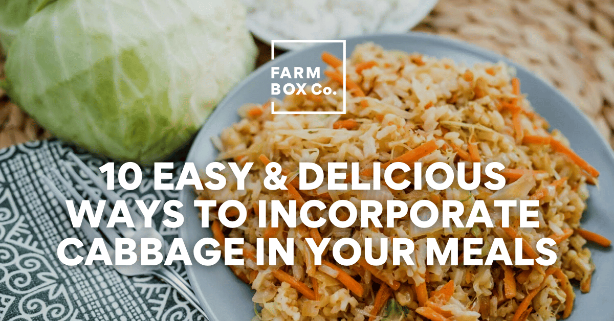 10 Easy & Delicious Ways to Incorporate Cabbage In Your Meals