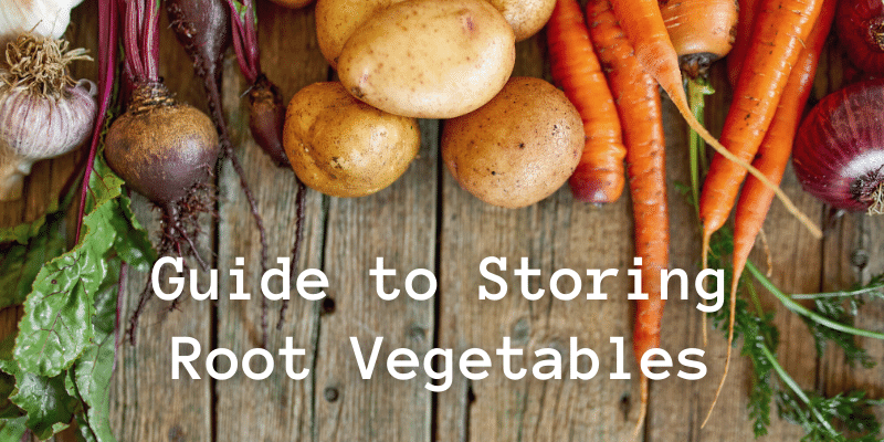 Guide to Storing Root Vegetables