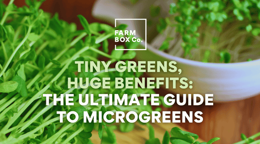 Tiny Greens, Huge Benefits: The Ultimate Guide to Microgreens