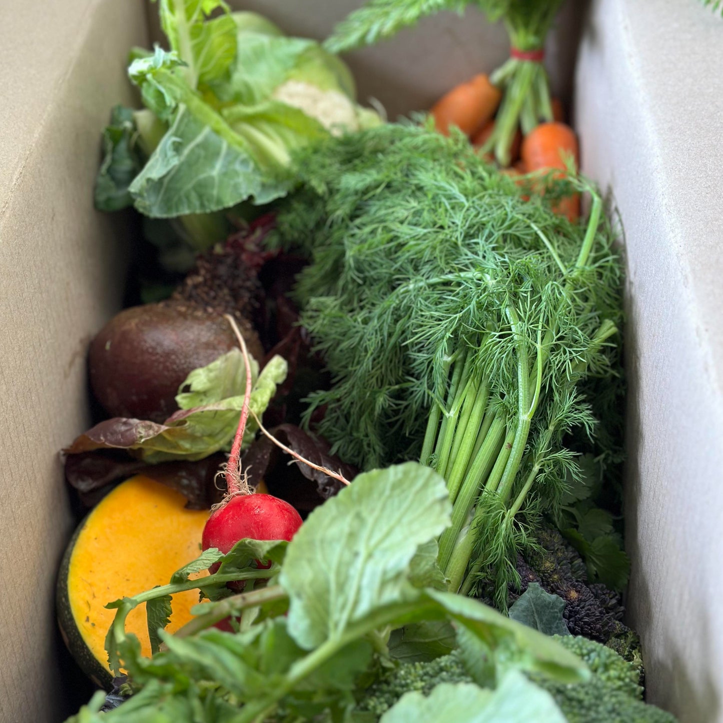 Seasonal Organic FarmBOX - Veggies