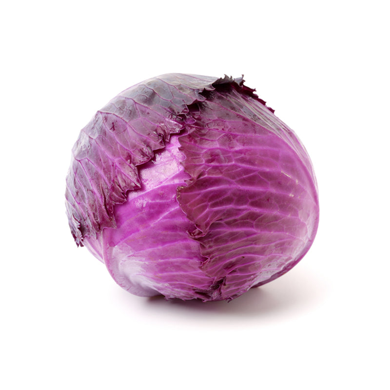 Cabbage Red Whole