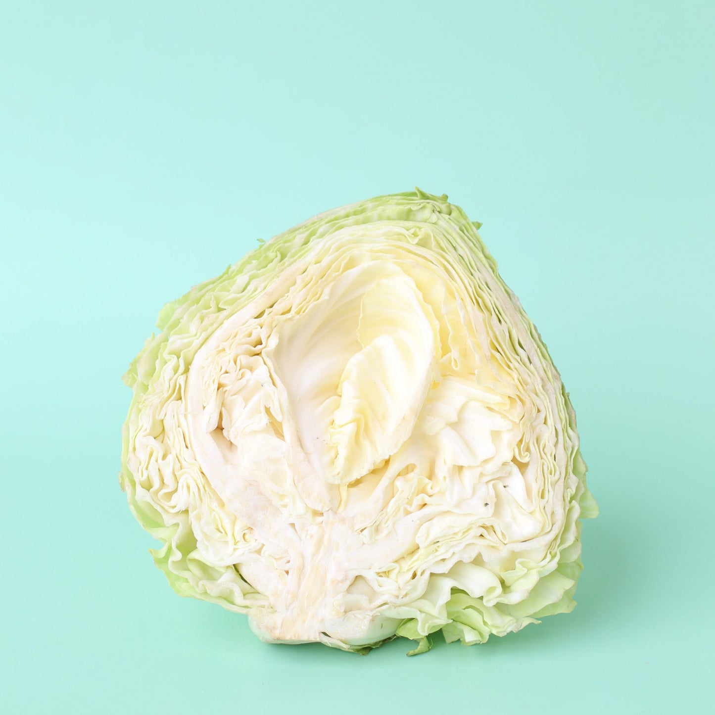 Cabbage Green Half