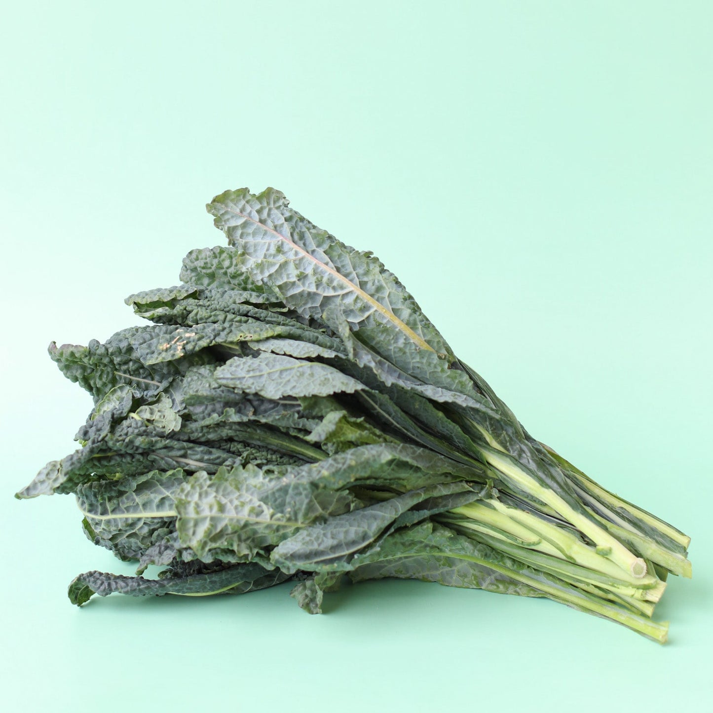 Kale Tuscan Bunch