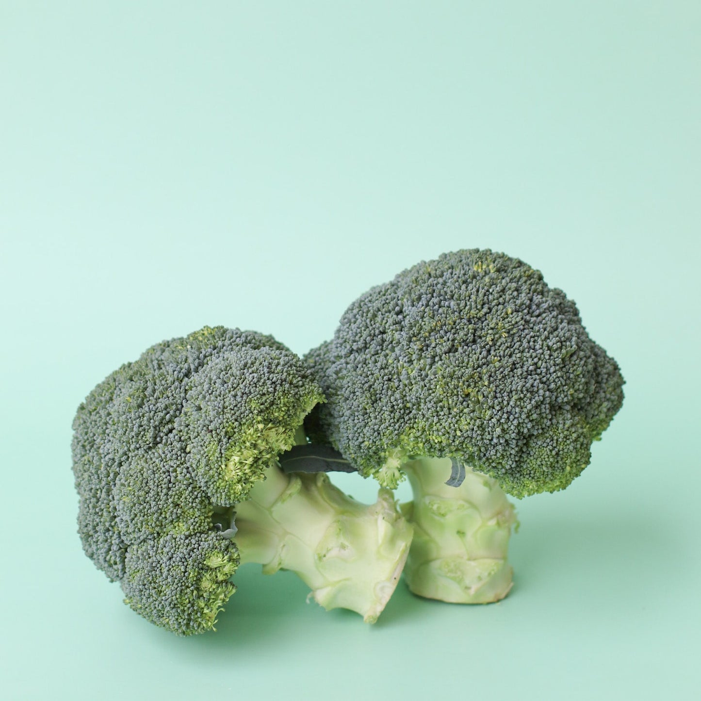 Broccoli 500g