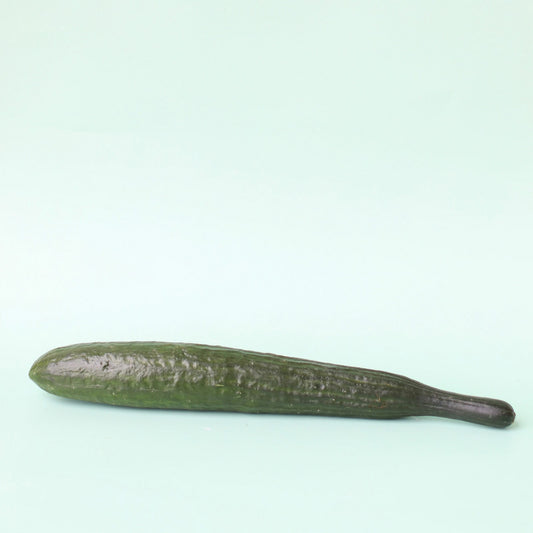 Cucumber Continental