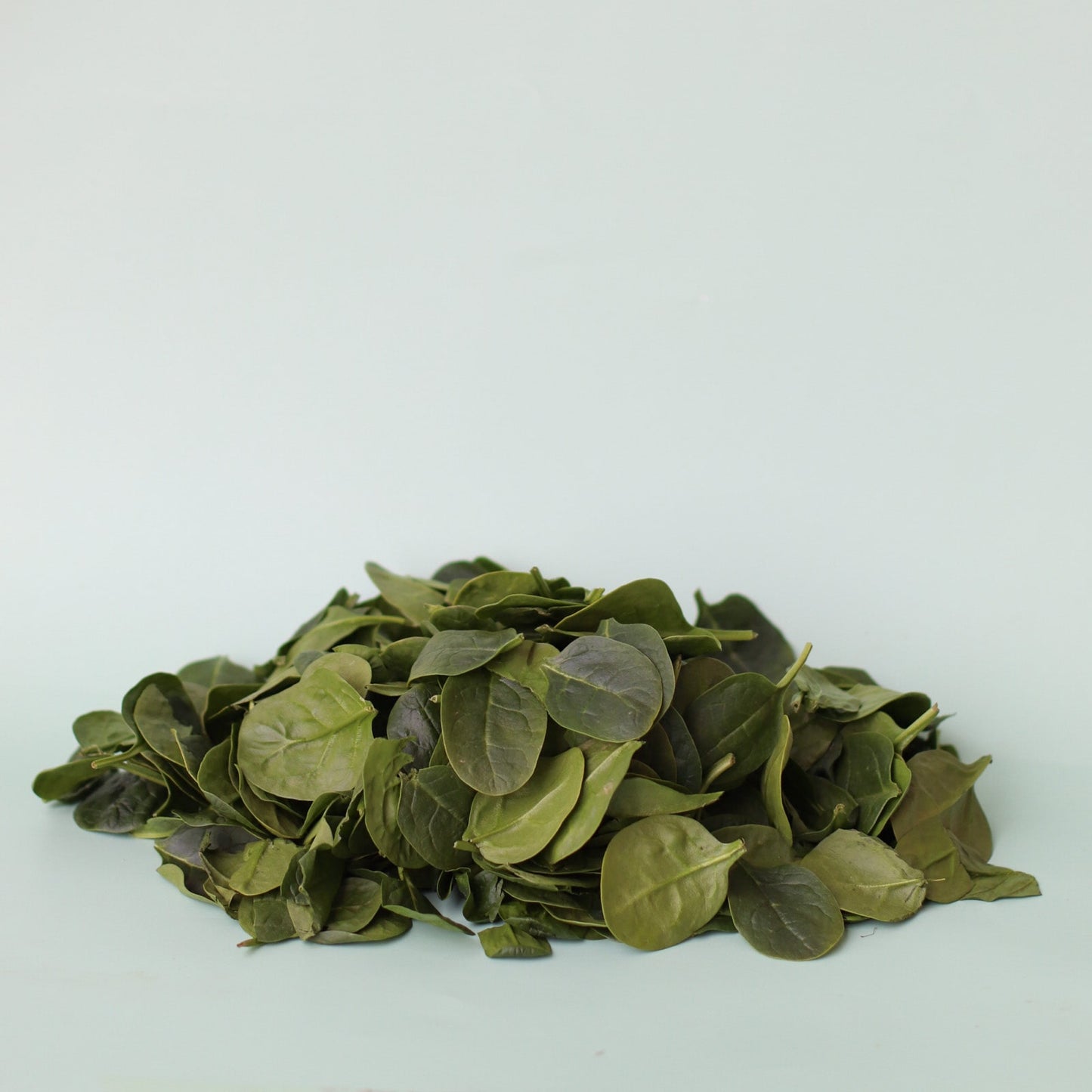 Baby Spinach 100g