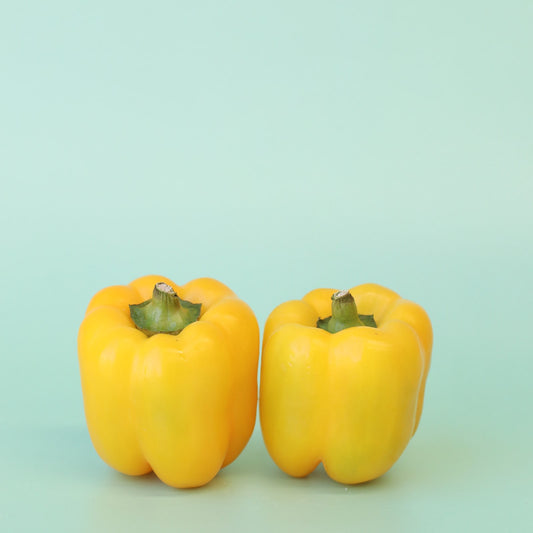 Capsicum Yellow (2 Pack)