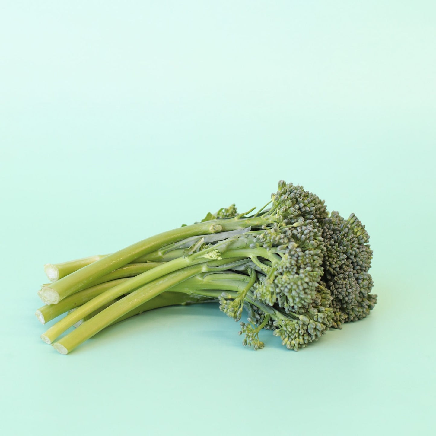 Baby Broccoli Bunch