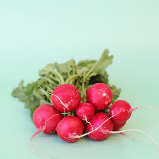 Radish Red Bunch