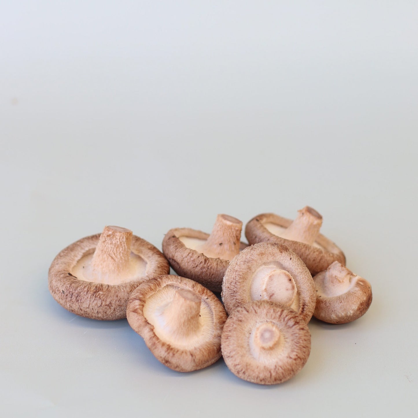 Mushrooms Shiitake 100g