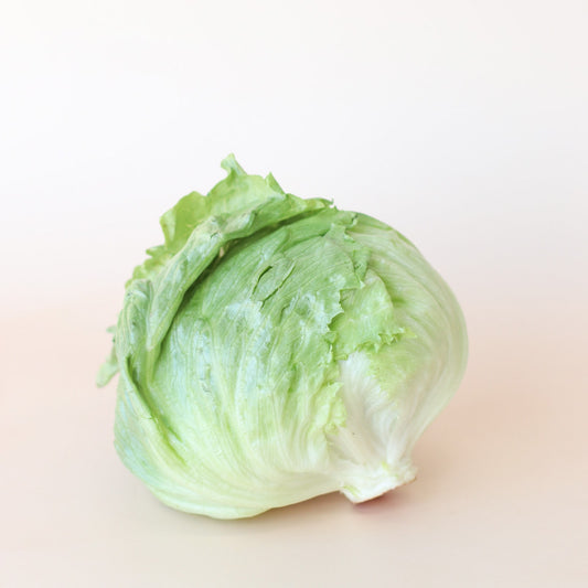 Lettuce Iceberg