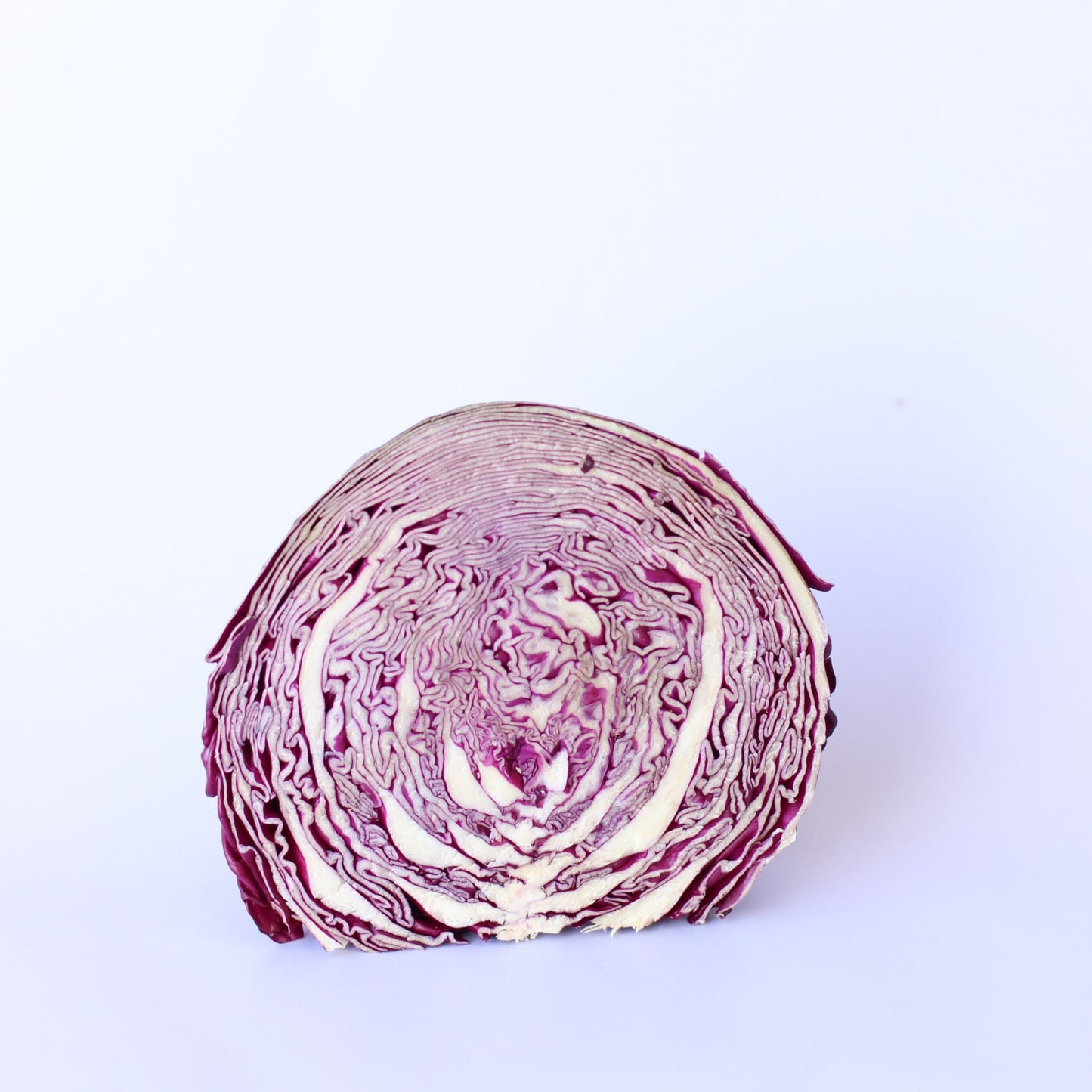 Cabbage Red Whole