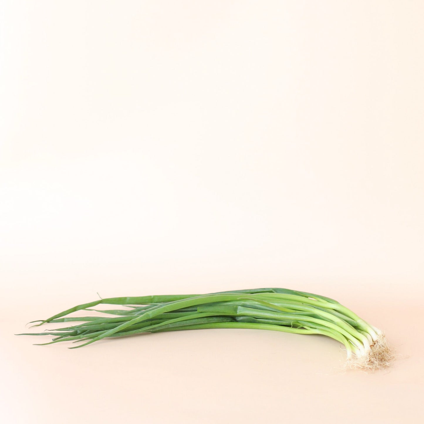 Spring Onions Bunch