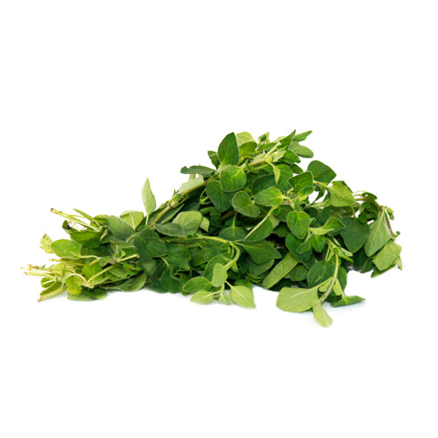 Oregano Fresh Bunch