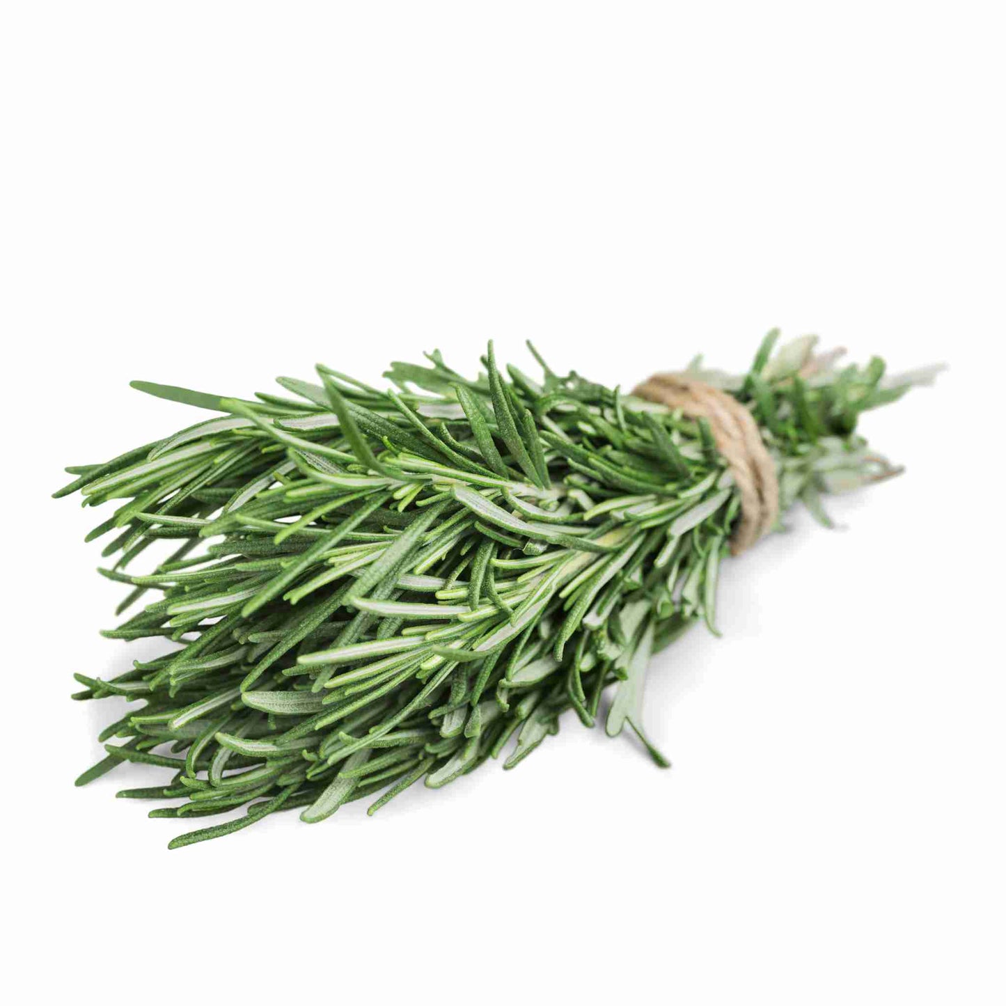 Rosemary Fresh Bunch