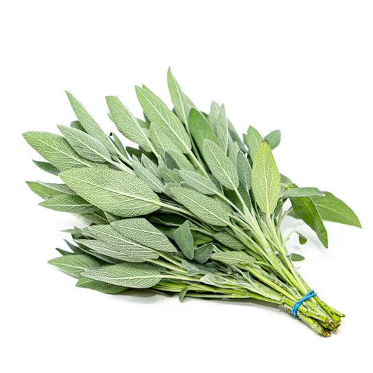 Sage Fresh Bunch