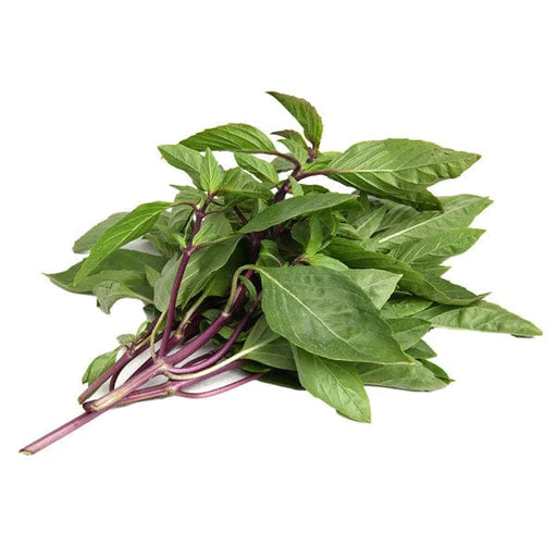 Basil Thai Fresh Bunch