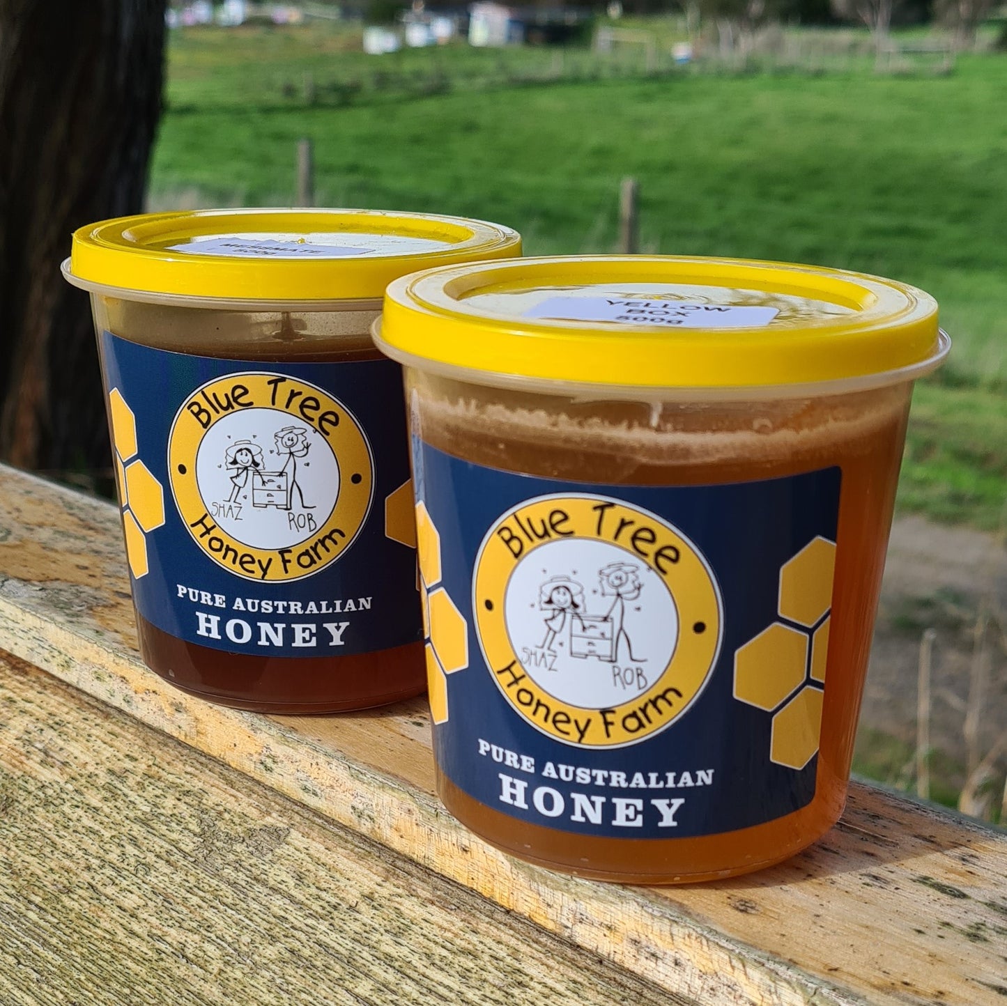 Blue Tree Honey Farm YELLOW BOX 500g