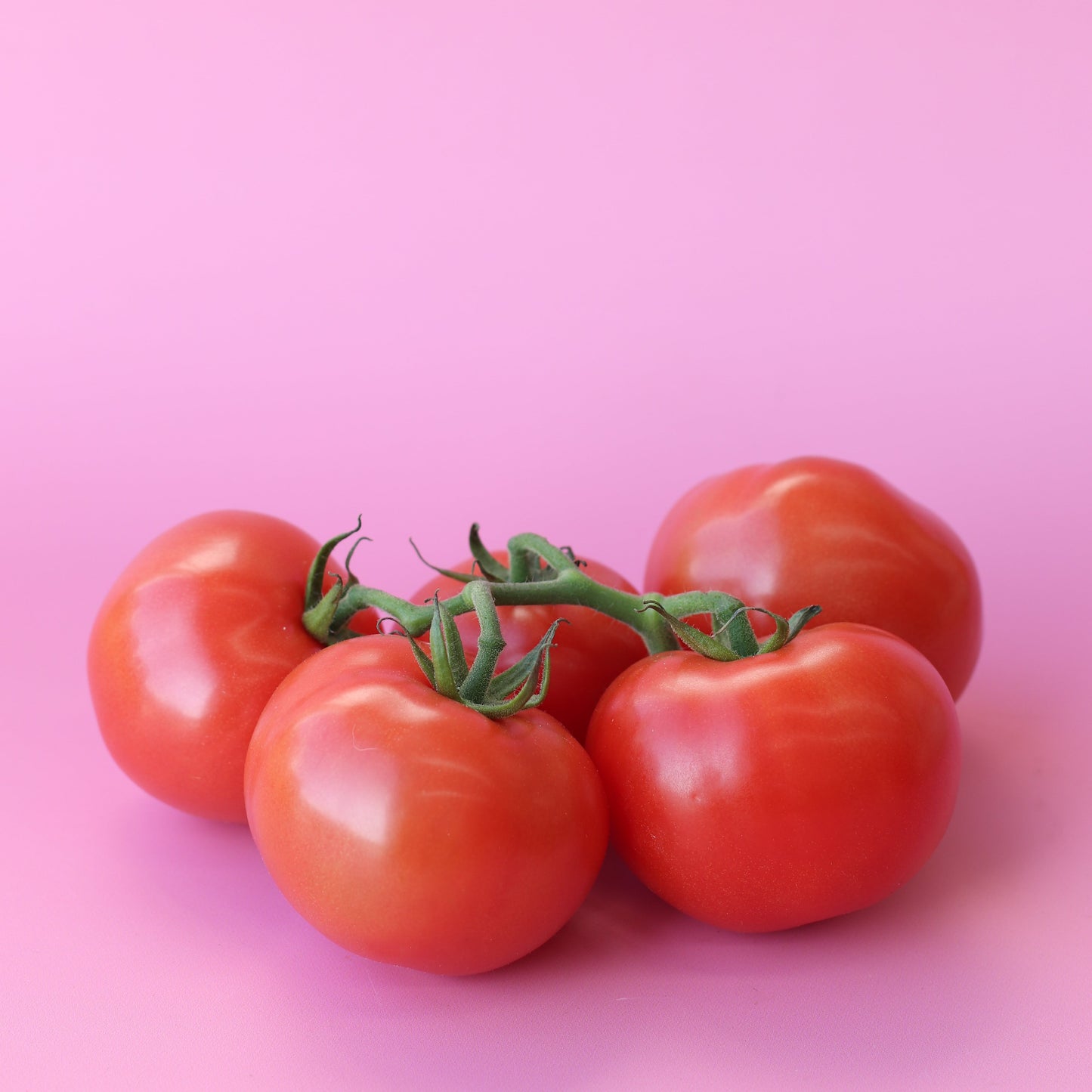 Tomatoes Gourmet 500g