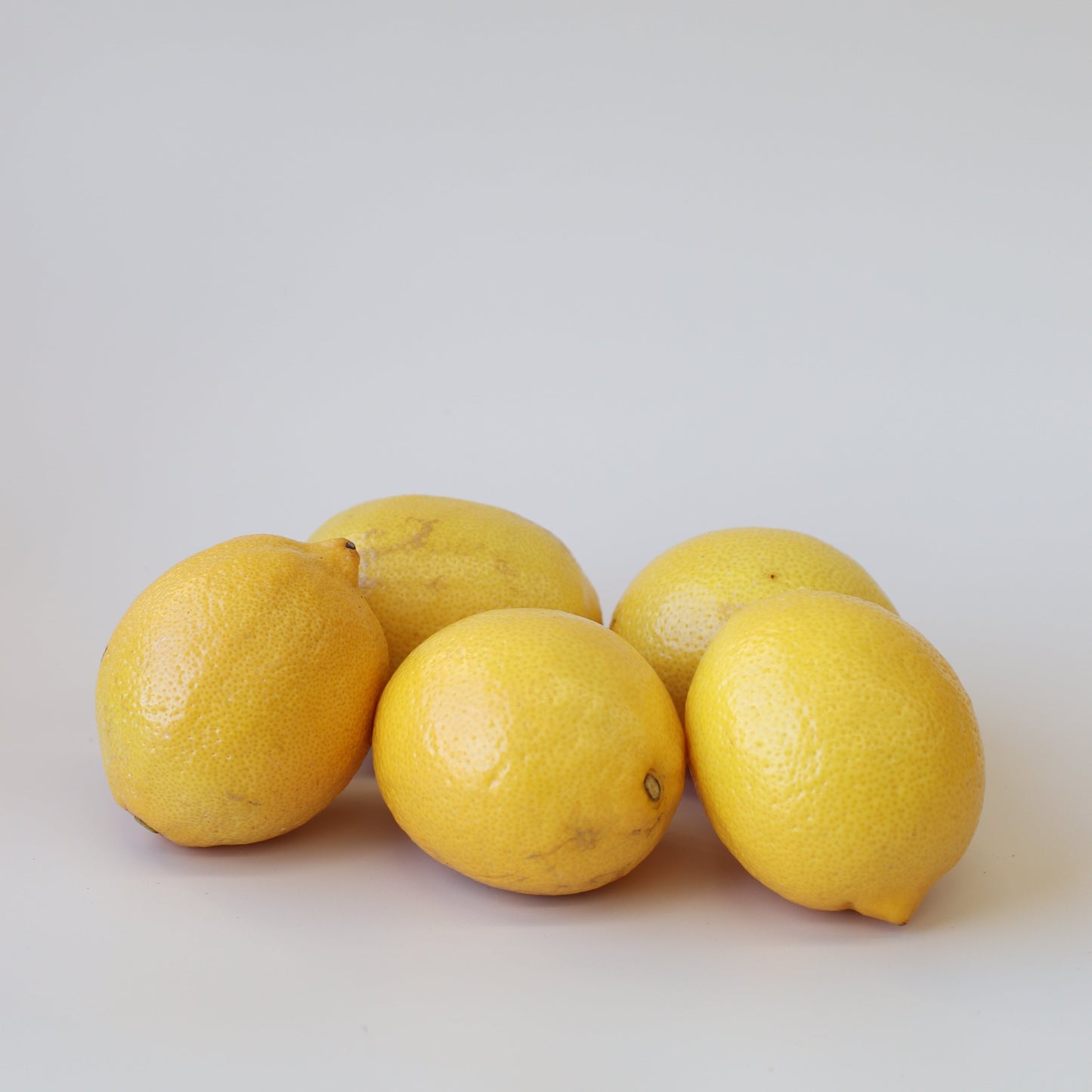 Lemons (5 pack)