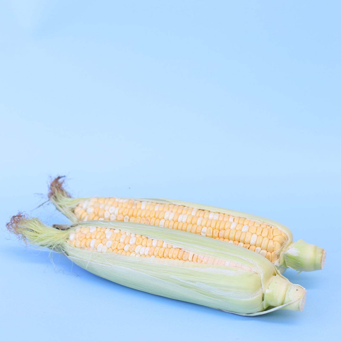 Corn (2 Pack)